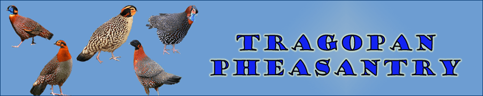 Logo Tragopan