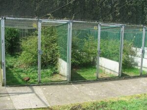 Pheasantry-Peer-04