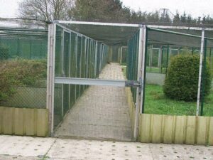 Pheasantry-Peer-09