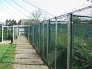 Pheasantry-Peer-25