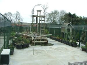 Pheasantry-Peer-36