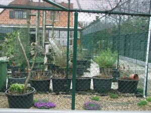 Pheasantry-Peer-37