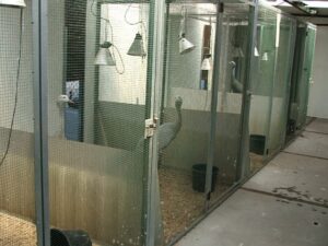 Pheasantry-Peer-57