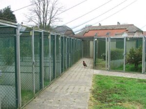 Pheasantry-Peer-41